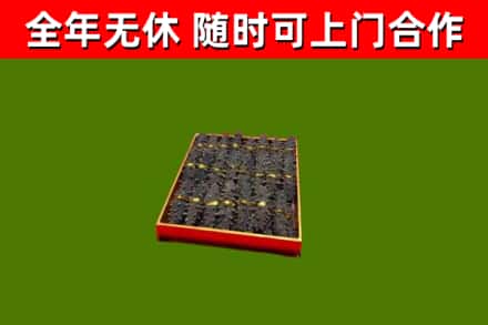 梓潼县回收海参
